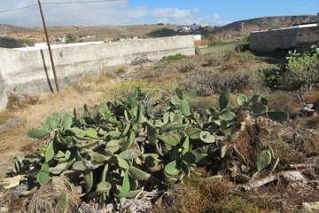 El peligro de incendio acecha a El Cubillo/TA.